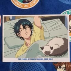 新テニスの王子様 越前リョーマ カルピン カード テニプリ - メルカリ