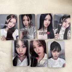 m88837980488_1.jpg?1744339453