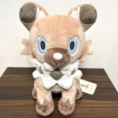 m89086766362_1.jpg?1740755999