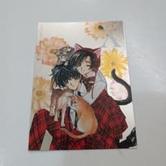 CLAMP X スペシャルシルバーカード - メルカリ