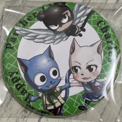 エクシード 缶バッジ フェアリーテイル FAIRYTAIL 真島ヒロ 講談社