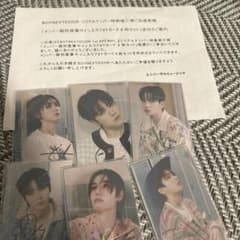 m80029280396_1.jpg?1711751024