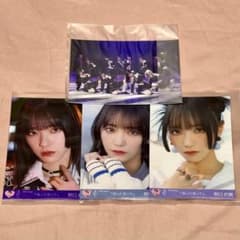 m81197615742_1.jpg?1711042075