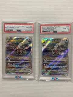 PSA10】ダークライVSTAR SAR[s12a 228/172] 連番 - メルカリ