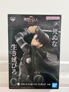 m81771933725_1.jpg?1727947882