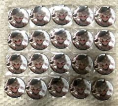 プロセカ グリッター缶バッジ グリ缶 44B 小豆沢こはね 20点 - メルカリ