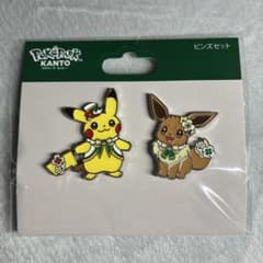 ポケパークカントー ピカチュウ イーブイ ピンズセット - メルカリ