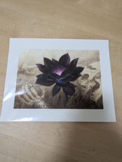 m82663877583_1.jpg?1741166379