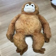 m94100527028_1.jpg?1726552669