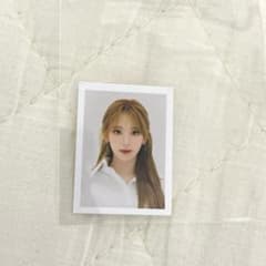 m95400557500_1.jpg?1676645736