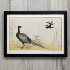 m97398486669_1.jpg?1749370195