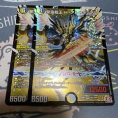 聖霊超王Hアルカディアス ハイパーアルカディアス 2枚セット - メルカリ