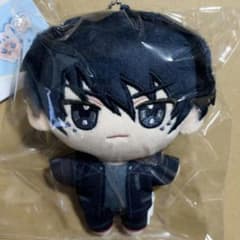 ニトロキラル スロウダメージ キラメモ ぬいパル ぬいぐるみマスコット