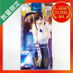 m91098288230_1.jpg?1764936646