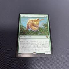 MTG 大鎌猫の仔 J25 - メルカリ