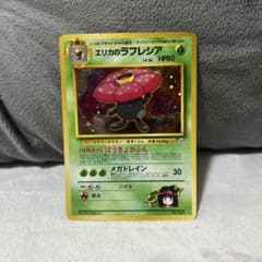 m93360189815_1.jpg?1746493540