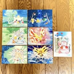 m93567757935_1.jpg?1718632430