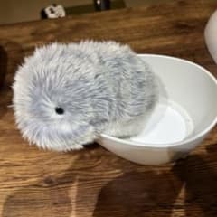 モフリン 中古 - メルカリ