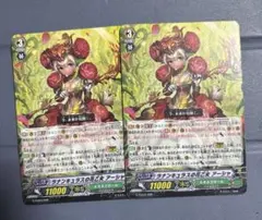 2026年最新】ラナンキュラスの花乙女アーシャの人気アイテム - メルカリ