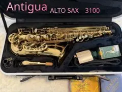 2026年最新】antigua 3100の人気アイテム - メルカリ