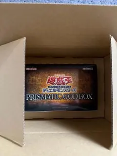 2026年最新】プリズマティックゴッドボックス 遊戯王の人気アイテム