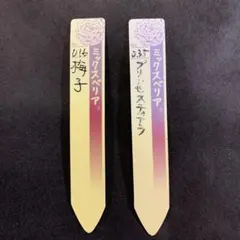 2026年最新】プリンセスティアラ 多肉の人気アイテム - メルカリ