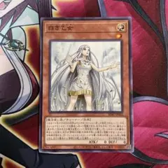 2026年最新】白き乙女 25の人気アイテム - メルカリ