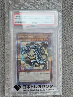 2026年最新】青眼の白龍 psa10 25thの人気アイテム - メルカリ
