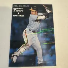 2026年最新】鳥谷敬 カードの人気アイテム - メルカリ