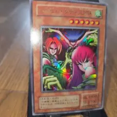 2026年最新】ハーピィ スリーブの人気アイテム - メルカリ