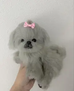 2026年最新】ペキニーズ ぬいぐるみの人気アイテム - メルカリ