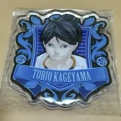 2026年最新】ハイキュー アクリルバッジコレクションの人気アイテム