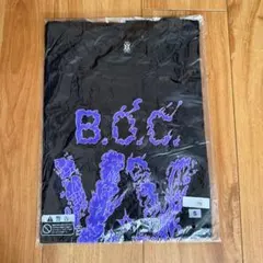 2026年最新】bump of chicken tシャツ 周年の人気アイテム - メルカリ