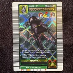 2026年最新】パラワンオオヒラタの人気アイテム - メルカリ