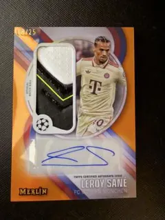 2026年最新】MERLIN toppsの人気アイテム - メルカリ