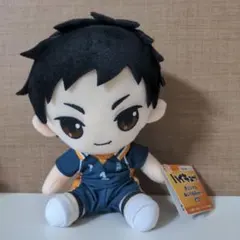 2026年最新】ハイキュー 澤村大地 ぬいぐるみの人気アイテム - メルカリ