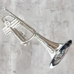 2026年最新】yamaha ytr-136の人気アイテム - メルカリ