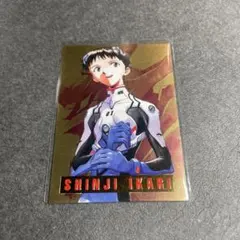 2026年最新】エヴァンゲリオン カードダス 初版の人気アイテム - メルカリ