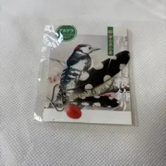 2026年最新】アカゲラの人気アイテム - メルカリ