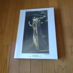 2026年最新】天野喜孝 パズルの人気アイテム - メルカリ