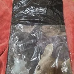 2026年最新】草彅剛はっぴょう会の人気アイテム - メルカリ