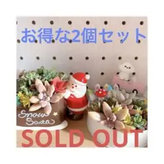 2026年最新】そのまま飾れる多肉寄植えの人気アイテム - メルカリ