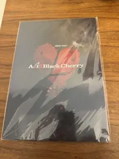 2026年最新】Acid Black Cherry パンフレットの人気アイテム - メルカリ