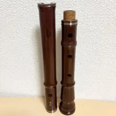 2026年最新】尺八 二尺二寸の人気アイテム - メルカリ