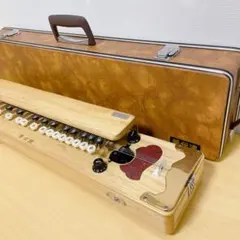 2026年最新】琴伝流 大正琴 銀河の人気アイテム - メルカリ