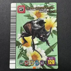 2026年最新】ムシキング5周年の人気アイテム - メルカリ