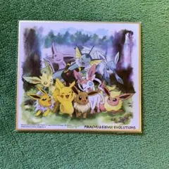 2026年最新】イーブイ 色紙の人気アイテム - メルカリ