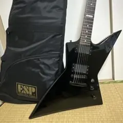 2026年最新】esp ltd メタリカの人気アイテム - メルカリ