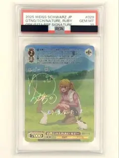 2026年最新】ヴァイス psa10の人気アイテム - メルカリ