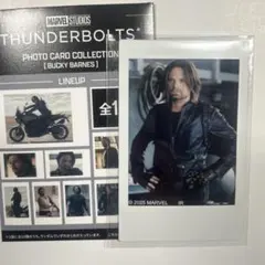 2026年最新】ウィンターソルジャー フォトカードの人気アイテム - メルカリ